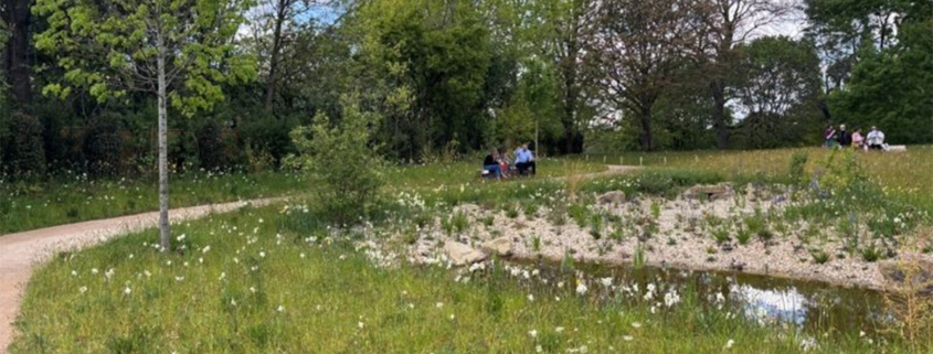 Wildflower Co. brings biodiversity to new Memorial Garden