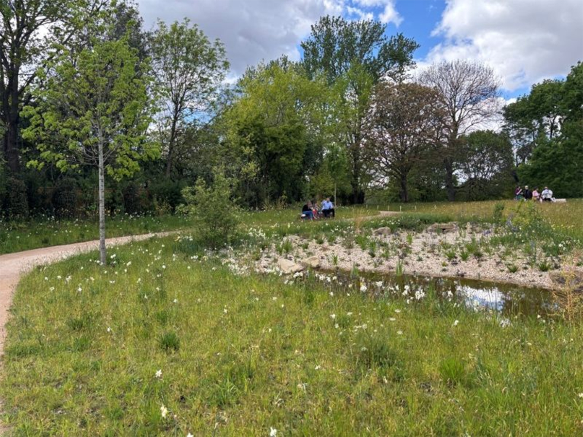 Wildflower Co. brings biodiversity to new Memorial Garden