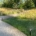 Waterscapes guidance on when smart irrigation upgrades pay for themselves