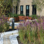 Enhancing biodiversity and ensuring healthy plant life