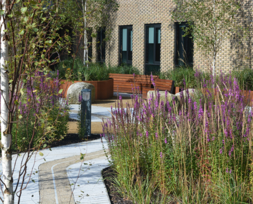 Enhancing biodiversity and ensuring healthy plant life