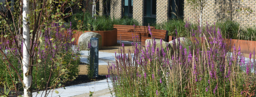 Enhancing biodiversity and ensuring healthy plant life
