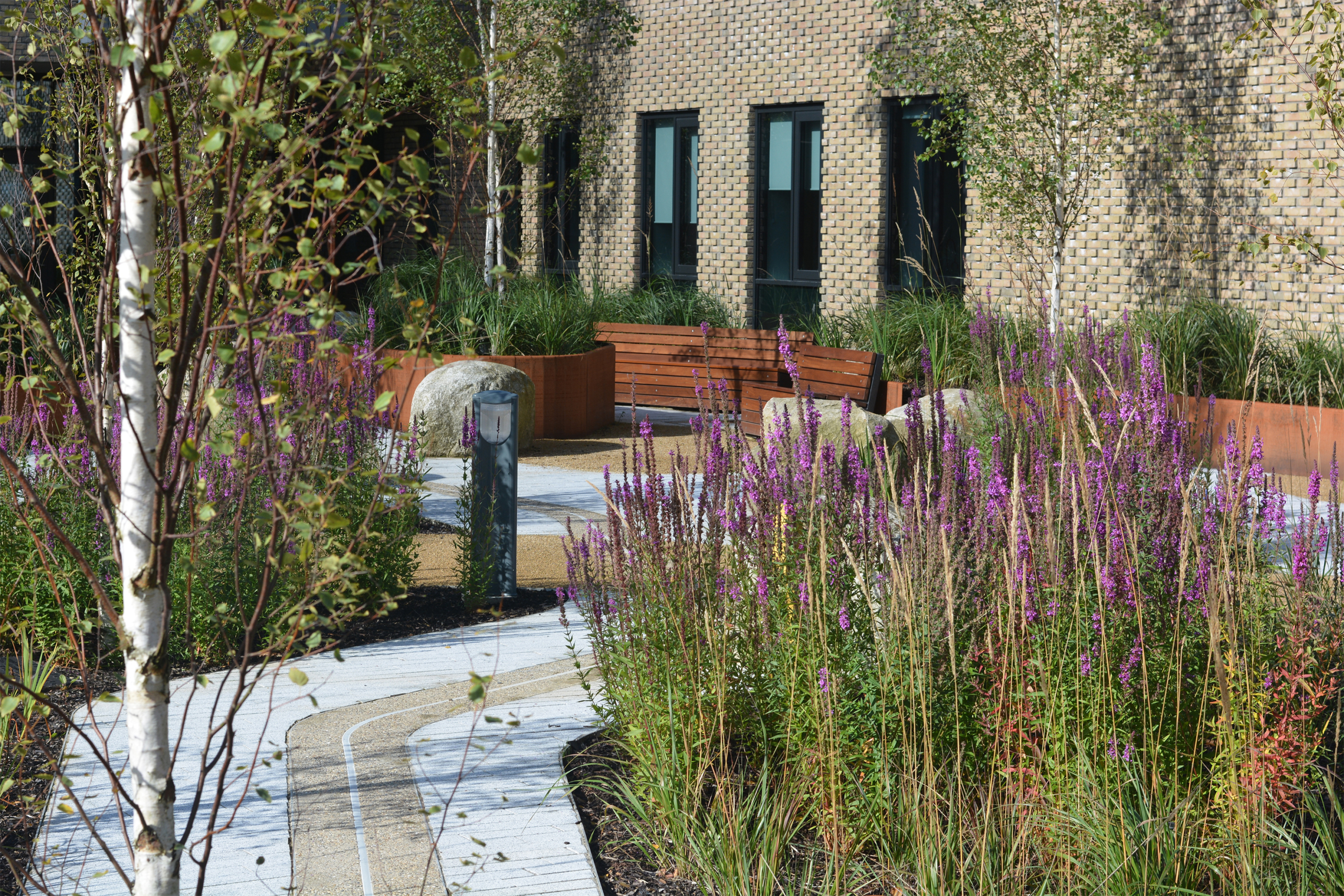 Enhancing biodiversity and ensuring healthy plant life