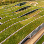 Turning Dead Roof Space into BNG and SuDS Compliance