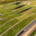 Turning Dead Roof Space into BNG and SuDS Compliance