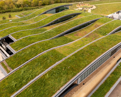 Turning Dead Roof Space into BNG and SuDS Compliance
