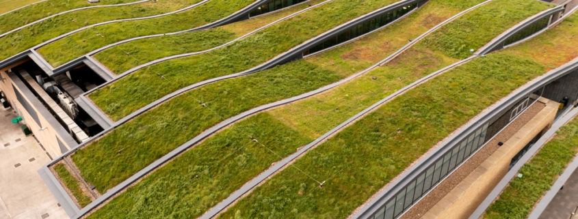 Turning Dead Roof Space into BNG and SuDS Compliance
