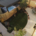 Jewson announces landscaping competition winners