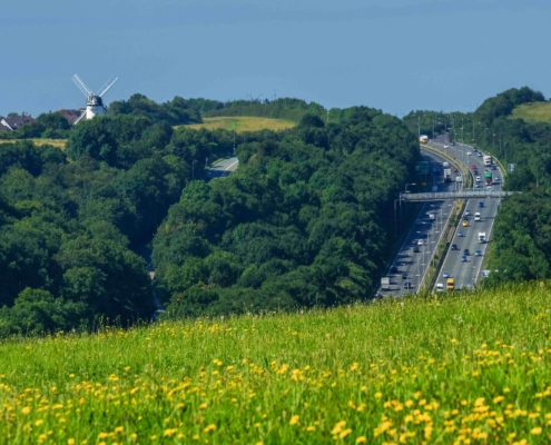 Why is construction chasing net zero while ignoring the carbon we are destroying?