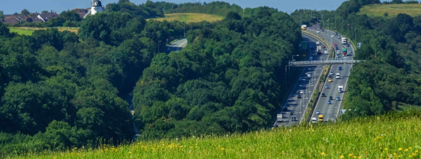 Why is construction chasing net zero while ignoring the carbon we are destroying?