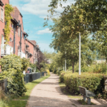 Retaining large trees within developments