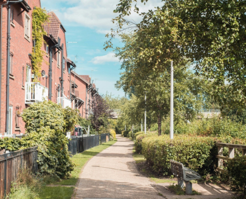Retaining large trees within developments