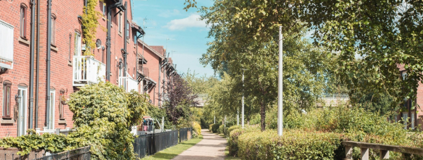 Retaining large trees within developments