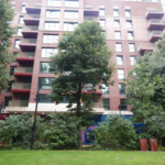 Transplanting a large tree at one of Europe’s biggest regeneration projects