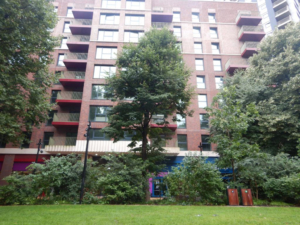 Transplanting a large tree at one of Europe’s biggest regeneration projects