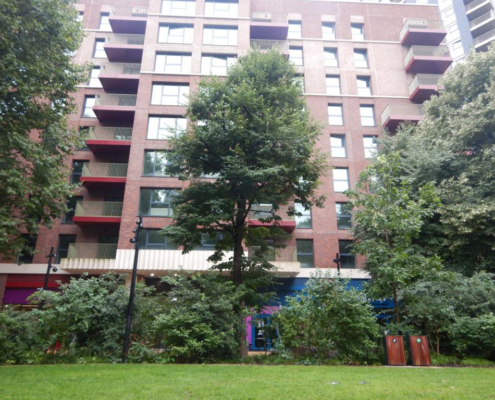 Transplanting a large tree at one of Europe’s biggest regeneration projects