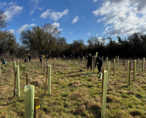 Wyevale Nurseries supports landmark tree planting project