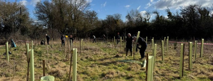 Wyevale Nurseries supports landmark tree planting project