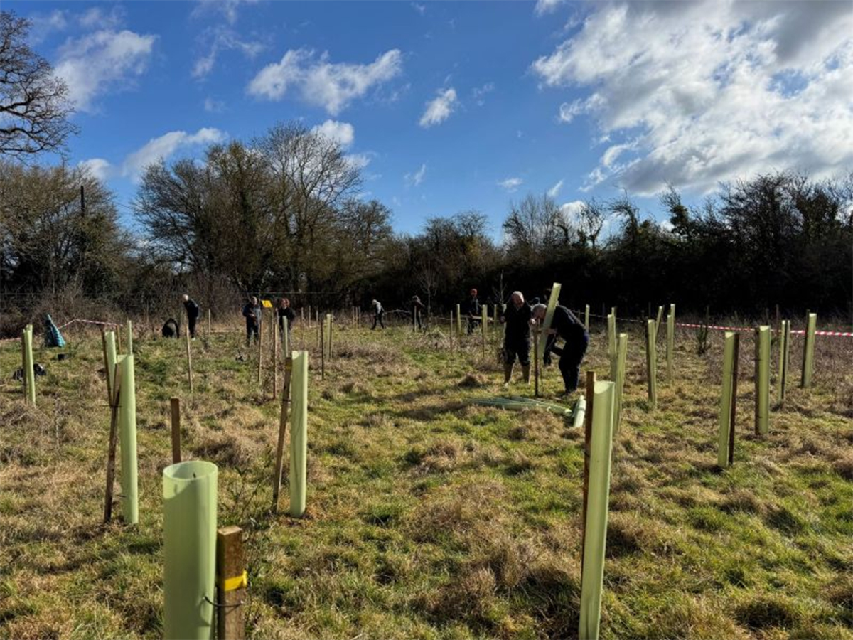 Wyevale Nurseries supports landmark tree planting project