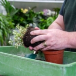“The Green Journey” Kicks Off National plants@work Week 2026