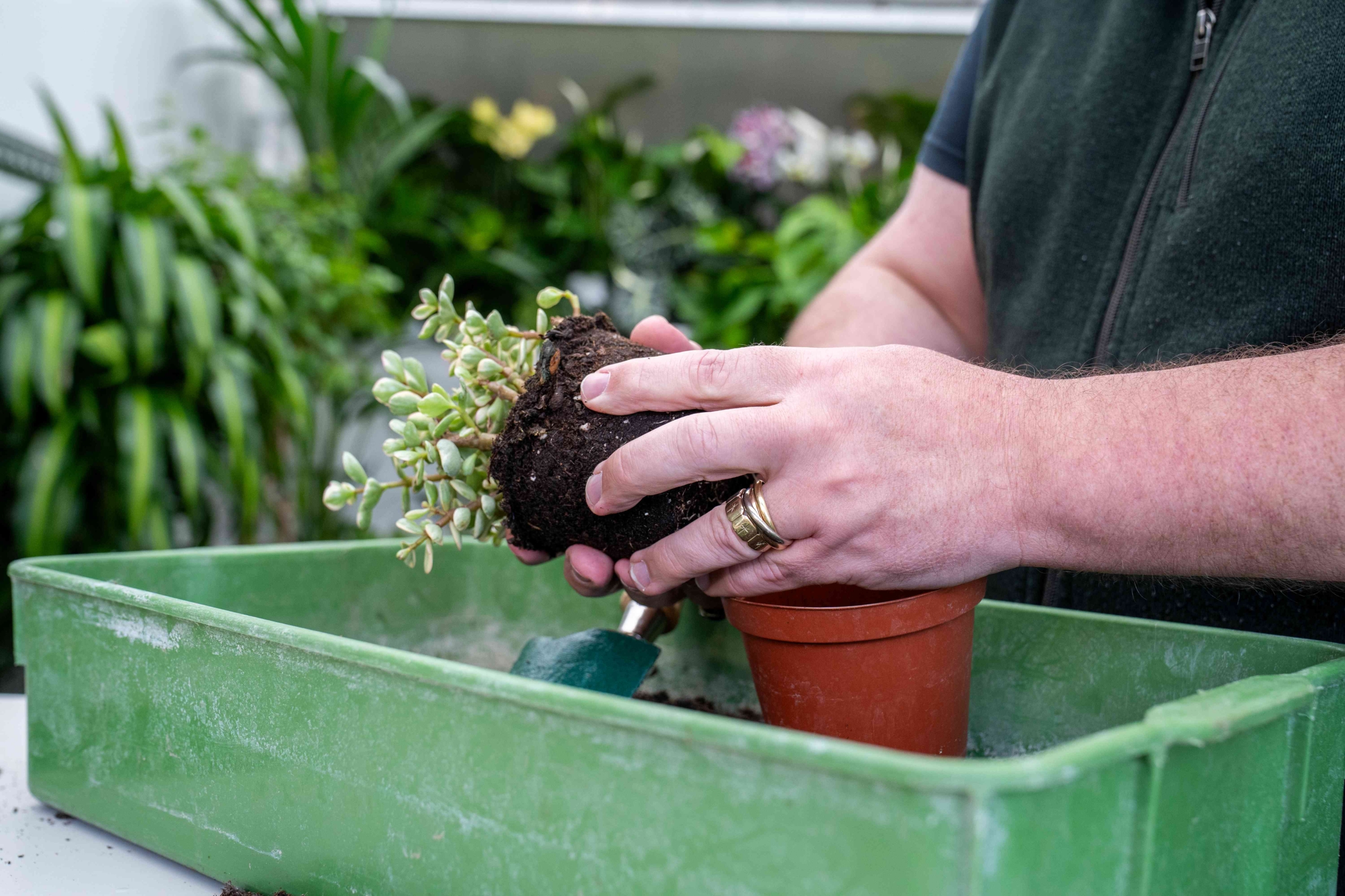 “The Green Journey” Kicks Off National plants@work Week 2026
