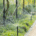 Waterscapes publishes irrigation troubleshooting guide