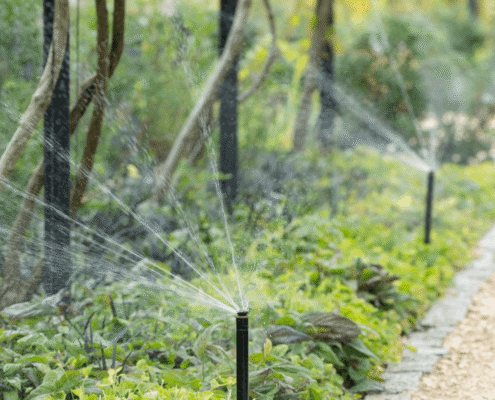 Waterscapes publishes irrigation troubleshooting guide