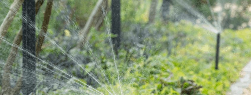 Waterscapes publishes irrigation troubleshooting guide
