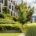 Why soil biology is the foundation of every successful landscaping project