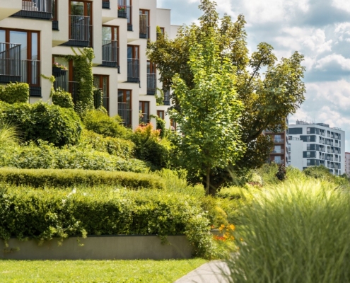 Why soil biology is the foundation of every successful landscaping project