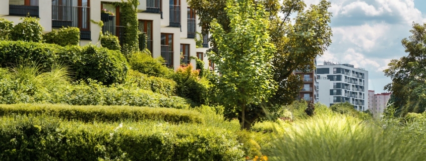 Why soil biology is the foundation of every successful landscaping project