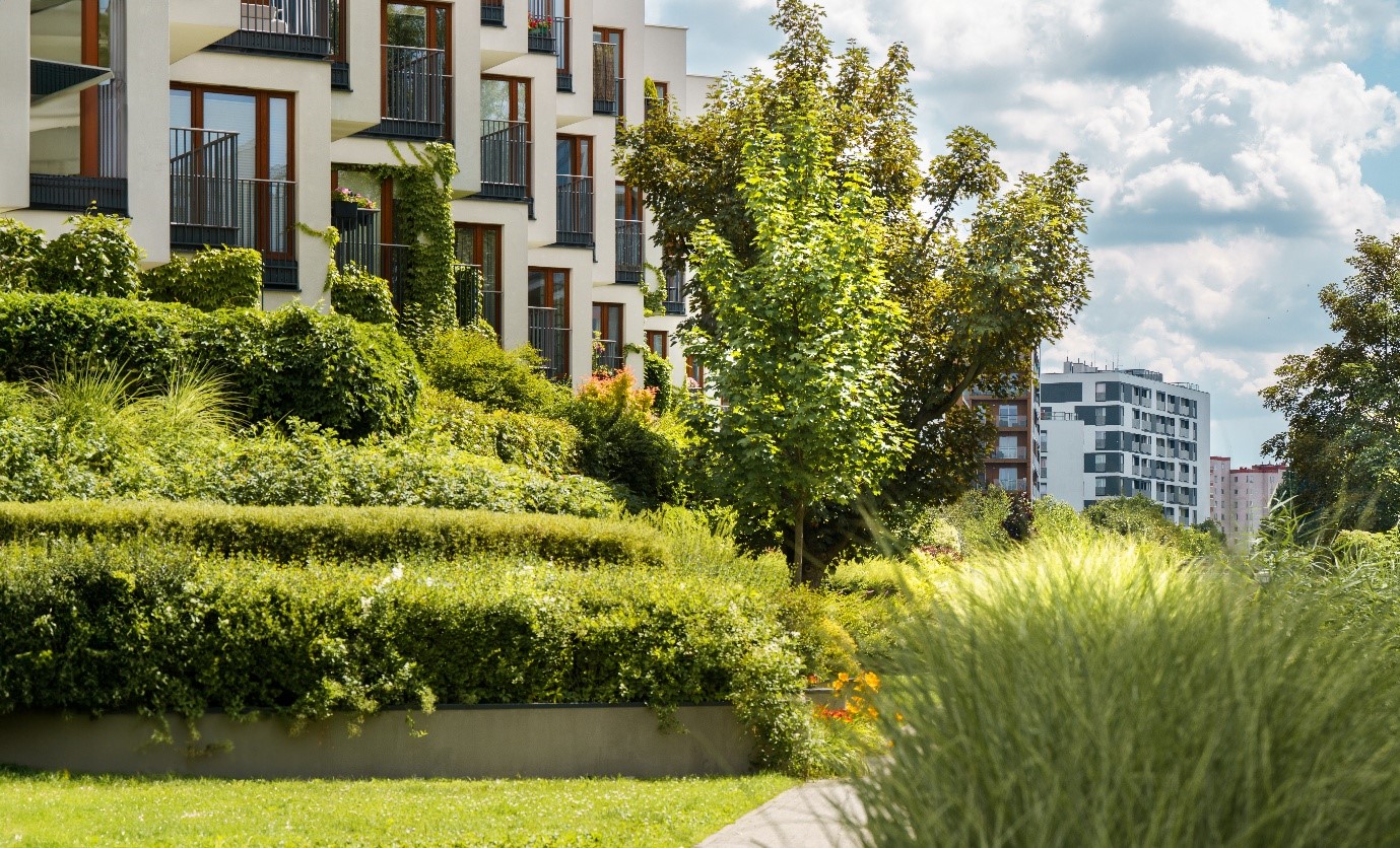 Why soil biology is the foundation of every successful landscaping project