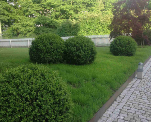 The business case for investing in soil biology on your development site