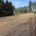 UK turf industry at ‘defining moment’