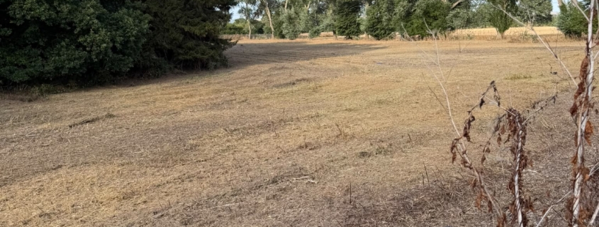 UK turf industry at ‘defining moment’