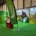 GreenBest To Showcase Turf Care Solutions and Bespoke Services at GroundsFest