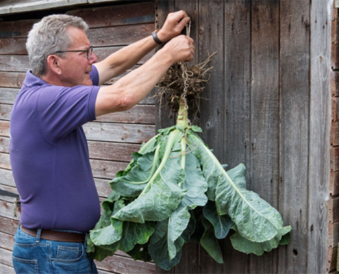 Get Your Garden Ready for Organic September