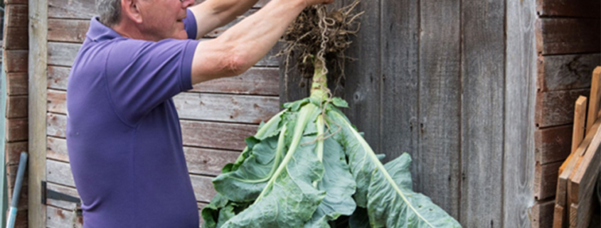 Get Your Garden Ready for Organic September