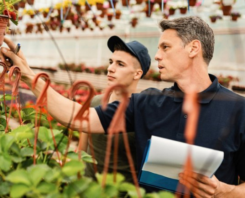 Perennial Celebrates 25 Years Of Innovation And Development