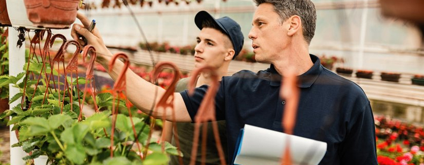 Perennial Celebrates 25 Years Of Innovation And Development