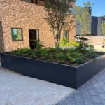 The Skyward Shift: Redefining the Urban Edge