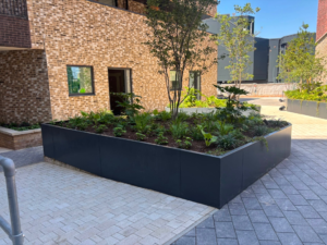 The Skyward Shift: Redefining the Urban Edge