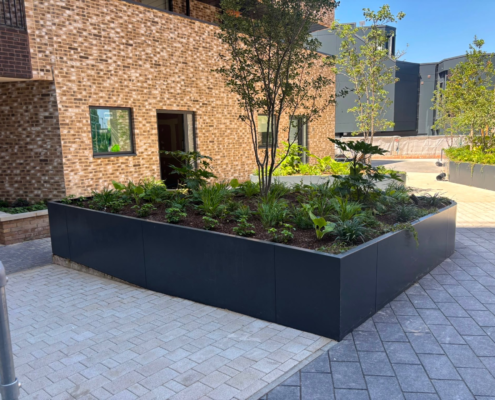 The Skyward Shift: Redefining the Urban Edge