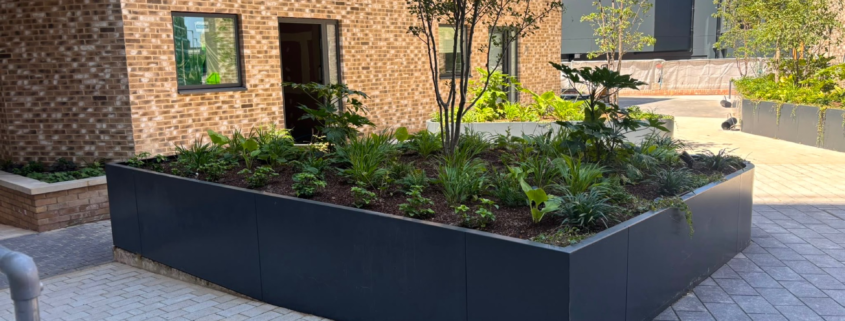 The Skyward Shift: Redefining the Urban Edge