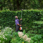 Tools On Test: Stihl Cordless Hedge Trimmer