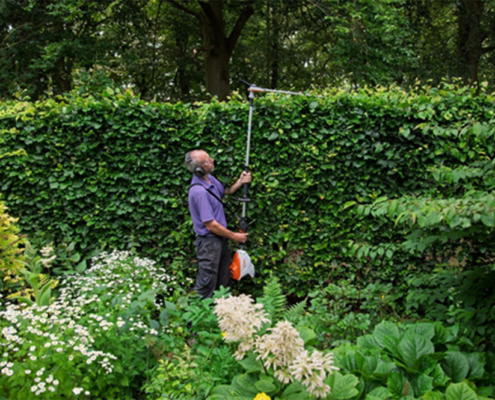 Tools On Test: Stihl Cordless Hedge Trimmer
