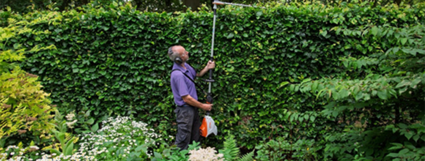Tools On Test: Stihl Cordless Hedge Trimmer