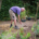Tools On Test: Kent & Stowe Digging Spade