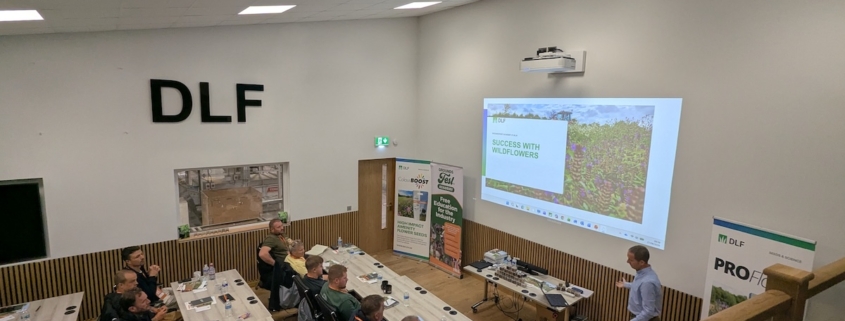 GroundsFest Academy continues to deliver as DLF wildflower event inspires
