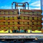 George Davies Turf & Stone celebrates double success at 2026 BALI Awards